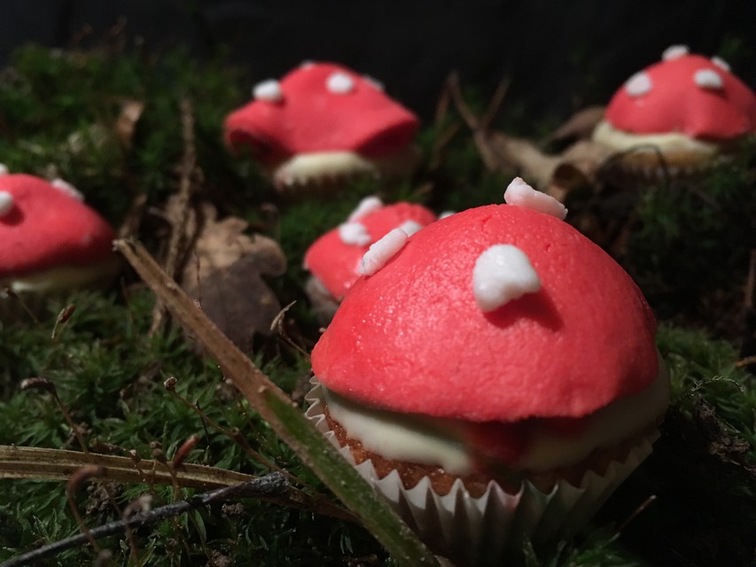 Lesní cupcakes